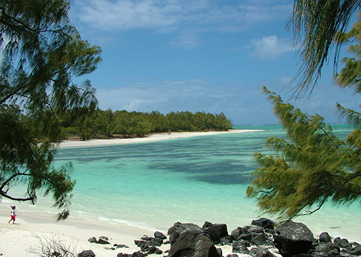 ile aux cerfs mauritius